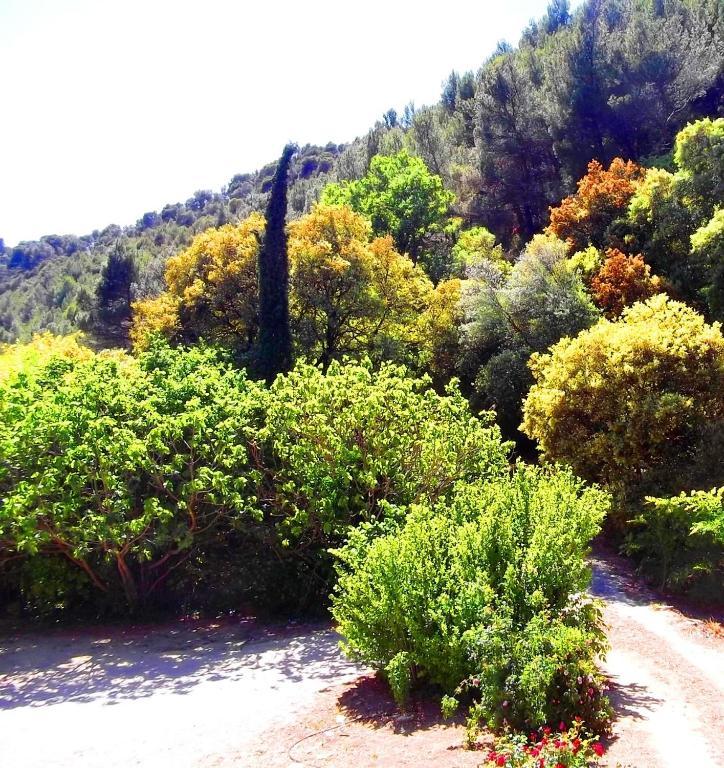 Гостевой дом La Bastide Du Vallon Saumane-de-Vaucluse Экстерьер фото